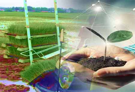 Hotel Tech in a Dynamic World Of 2024