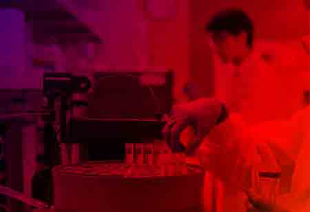 Hospitality Industry Technological Innovations