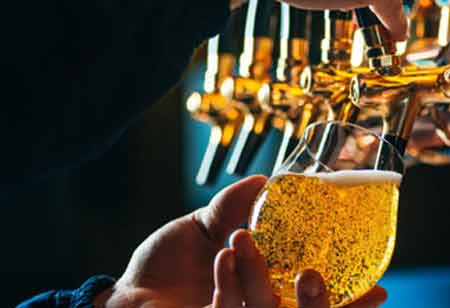 A Deep Dive into the Art and Science of Brewing